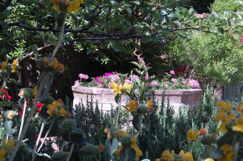 Il Giardino Segreto Hotel Pienza Ngoại thất bức ảnh